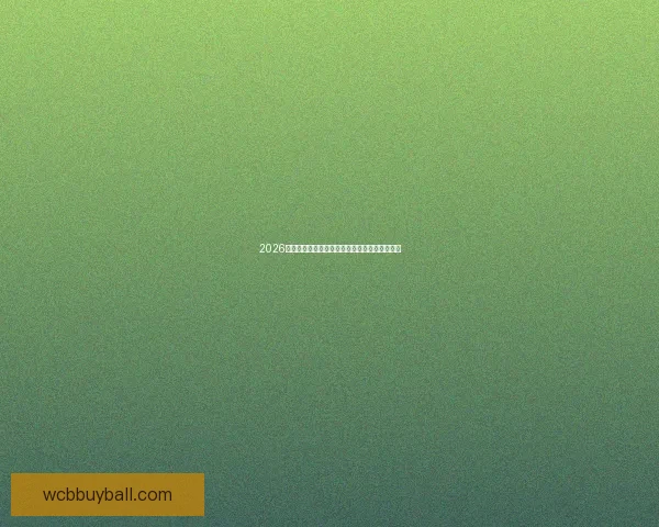 2026年世界杯赛事数据全面解析及各队表现统计分析