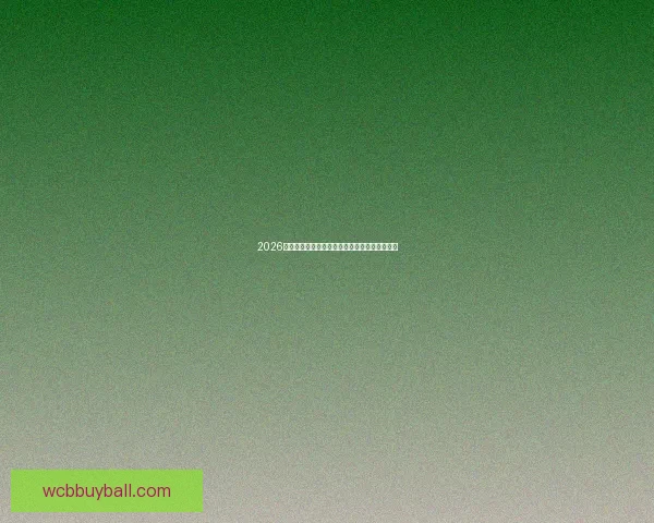 2026世界杯即将开幕美国精彩赛事全攻略与观赛指南