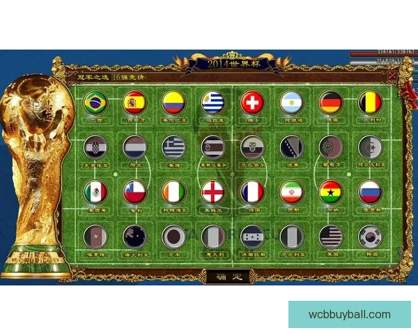 世界杯精彩竞猜结果大揭秘 精准预测赛果赢取荣耀